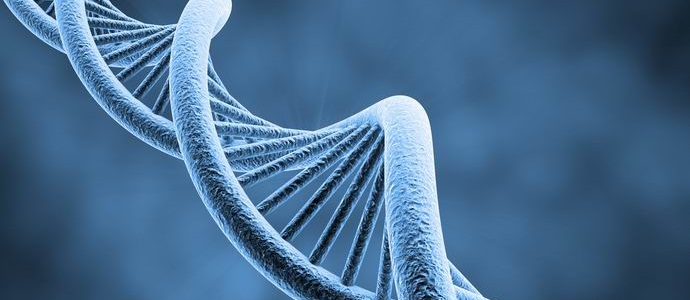 DNA alieno trovato nel genoma umano