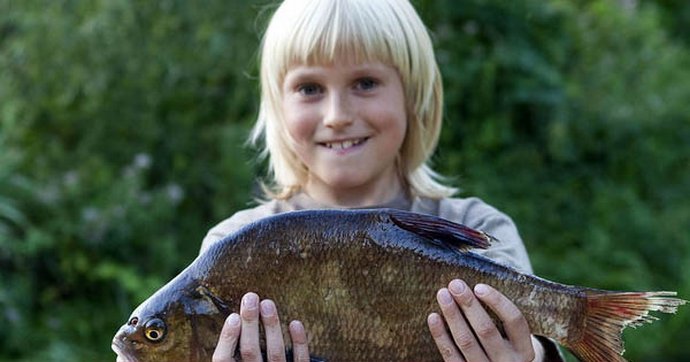 In Finlandia, un grosso pesce cade dal cielo