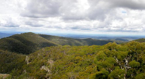 Mount_kaputar.jpg.492x0_q85_crop-intelligente