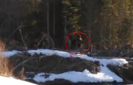 Bigfoot è stato girato in Canada
