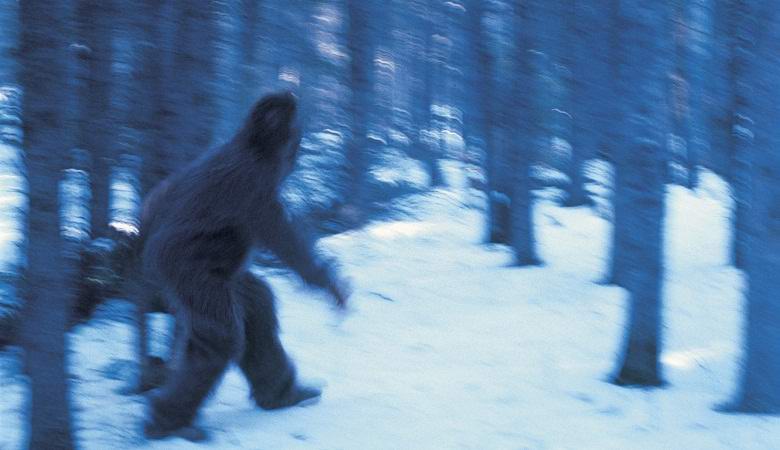 In Canada, catturato un grande pupazzo di neve