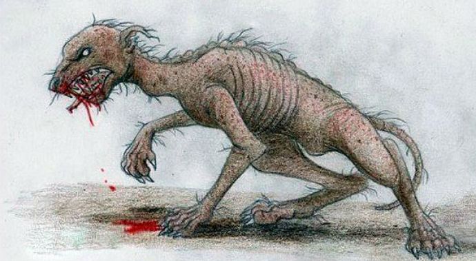 In Kirghizistan, è stato registrato un altro caso di attacco di chupacabra a una pecora