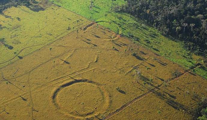 Nelle foreste dell'Amazzonia hanno trovato enormi disegni sulla terra