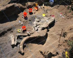 In Messico, hanno trovato i resti di un mammut adulto