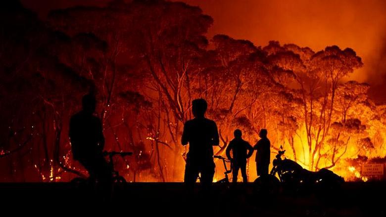 Catturato in Australia Forest Fire