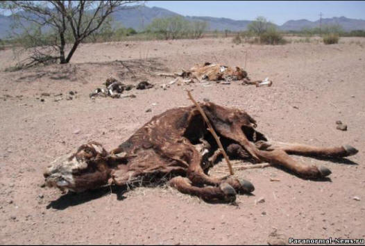 L'anno scorso, il clima della Terra è cambiato molto