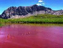 A Samara, l'acqua nel lago è diventata rossa