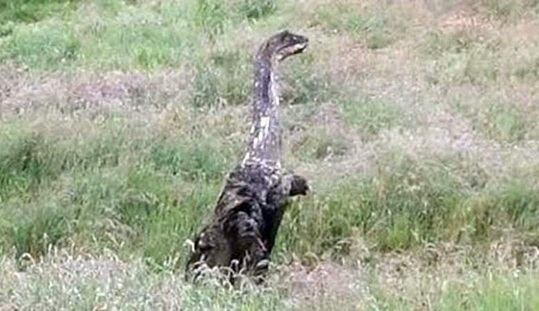 Un mostro è stato fotografato in un villaggio scozzese