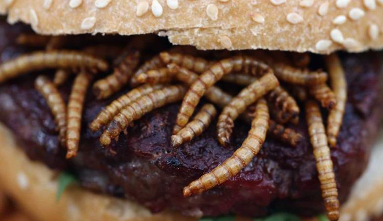 La vendita di cotolette di verme inizia in Svizzera