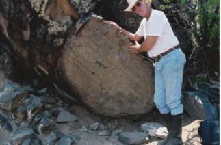 Negli Stati Uniti, su una lastra di pietra, c'è una registrazione dei 10 comandamenti e dei segni del Tetragramma fatti 3000 anni fa?