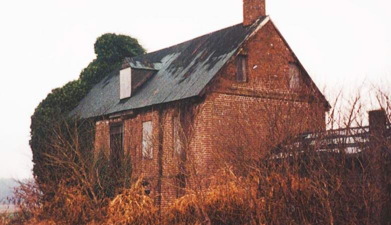 Nei muri delle case britanniche trovano strani reperti