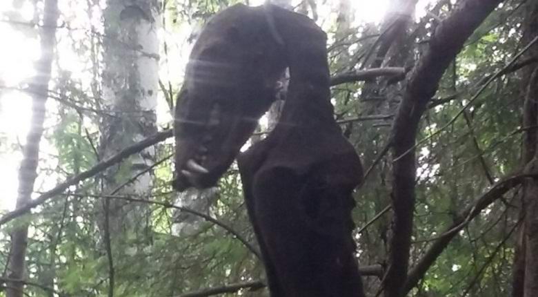A Taganrog hanno trovato un chupacabra impiccato