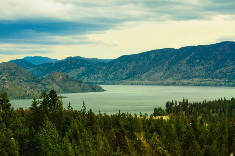 Nelle acque di un lago canadese, hanno filmato il mostro di Ogopogo