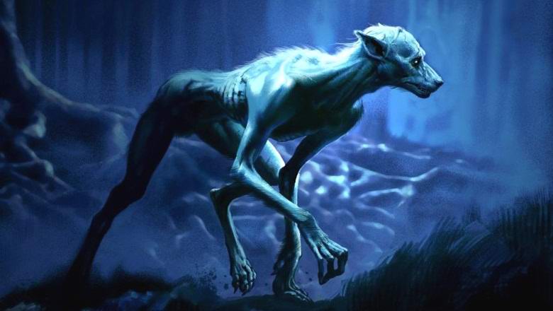 In Sudafrica, hai filmato il leggendario uomo-cane?