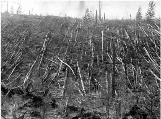 Versioni: The Tunguska Explosion - The Harbinger of a Global Disaster