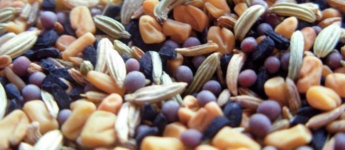 La guerra in Siria ha privato l'umanità di semi in caso di Apocalisse