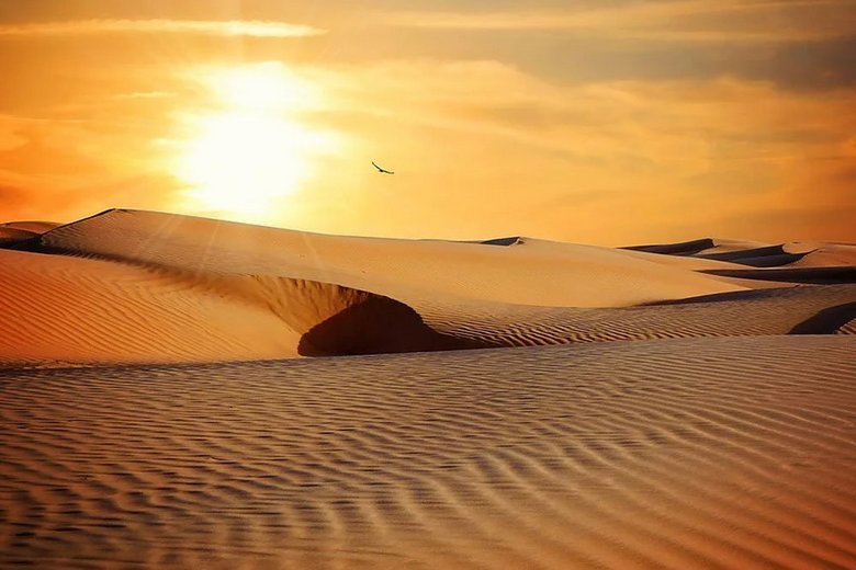 Tutto ciò che ci circonda è esclusivo: vivere e pensare, anche le dune di sabbia