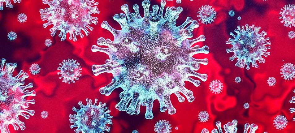 L'Oms dà il nome ufficiale al nuovo coronavirus 