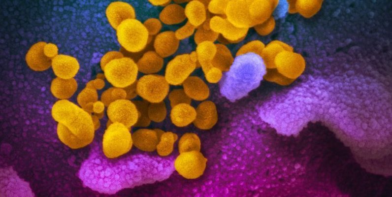 OMS: Almeno 70 opzioni di vaccino contro il coronavirus sono già in fase di sviluppo 