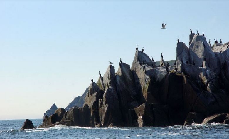Vicino a Magadan c'è un'isola di incomprensioni