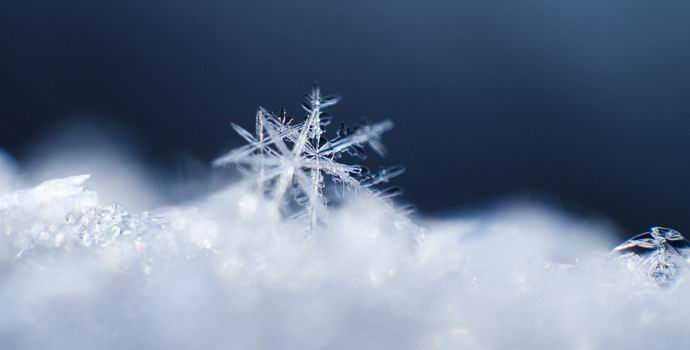 Apparvero per la prima volta due fiocchi di neve identici