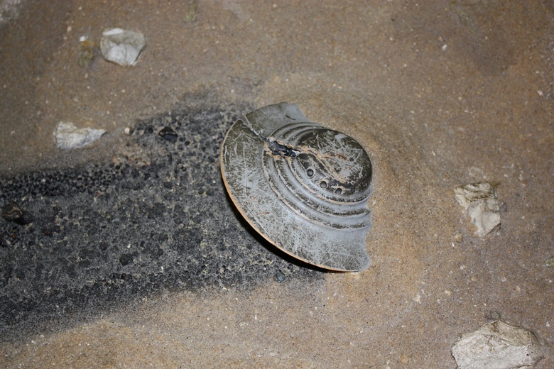 La prima capsula del tempo sugli UFO