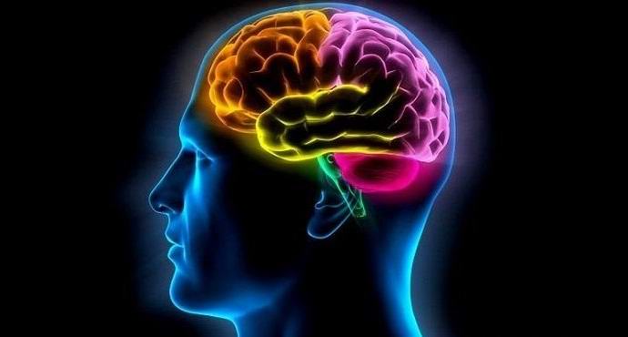 La stagione influenza le nostre capacità mentali