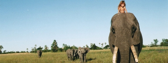 Tutte le lingue del mondo sono piene di positivi