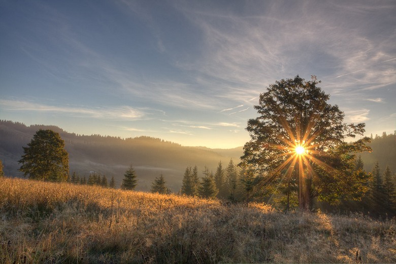 Gli scienziati giapponesi affermano: la velocità e la profondità della memorizzazione delle informazioni dipende dall'ora del giorno