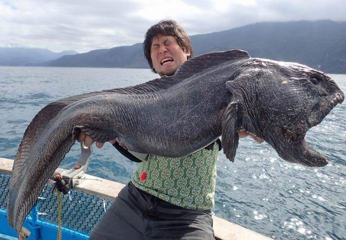 Un pescatore giapponese ha catturato un mostro inquietante