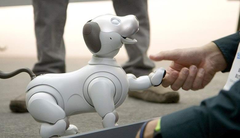 Il cucciolo robot giapponese ha toccato gli utenti Web