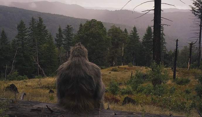 Per la cattura di un pupazzo di neve ha promesso un milione di dollari