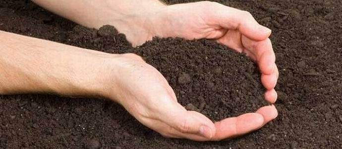 Perché gli alieni rubano il terreno dai terrestri