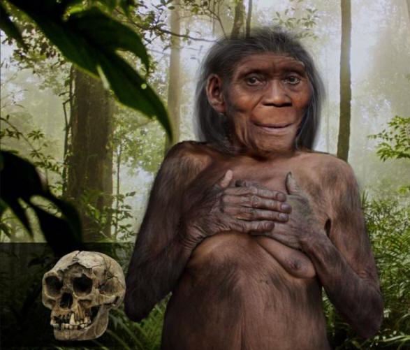 L'enigma dei nani floresiani preistorici