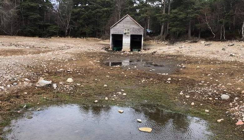 Il mistero del lago scozzese in via di estinzione