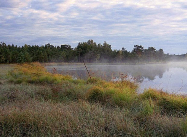 Misteri del secolo scorso, interessanti, storia