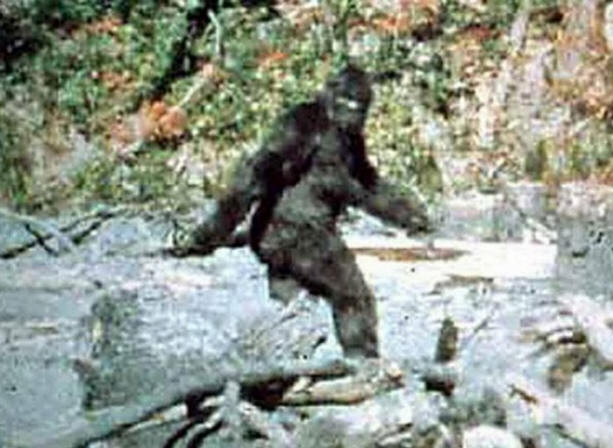 Misteri del secolo scorso, interessanti, storia