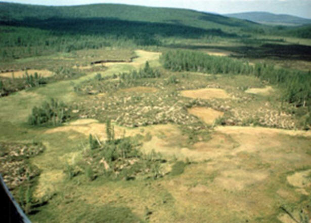 Misteri del secolo scorso, interessanti, storia