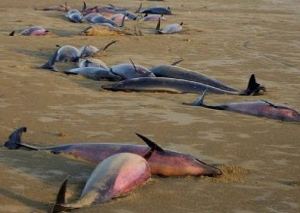 Misteri del secolo scorso, interessanti, storia