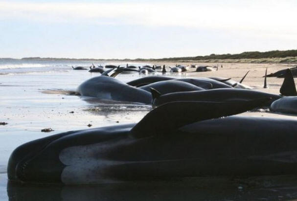 Misteri del secolo scorso, interessanti, storia