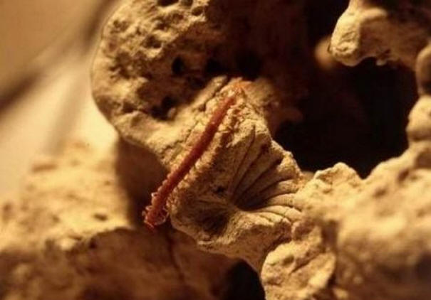 Misteri del secolo scorso, interessanti, storia