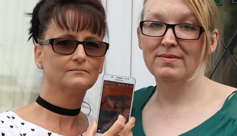 Il misterioso gatto è salito sulla telecamera di sorveglianza