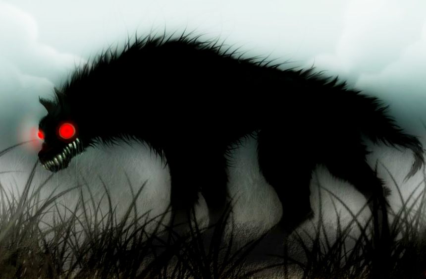 I misteriosi cani neri che si vedono più spesso in Inghilterra