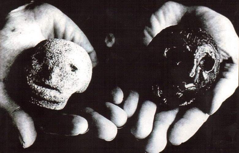 Mysterious Heads of Hexem, accanto al quale iniziano a manifestarsi fenomeni inspiegabili.