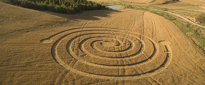 Misteriosi cerchi nel grano in Spagna - esotici finora