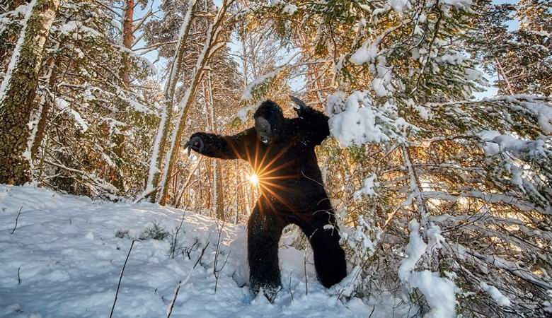 Ospite misterioso ha visitato gli americani per festeggiare il Natale