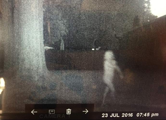 Catturato un fantasma bianco nel giardino