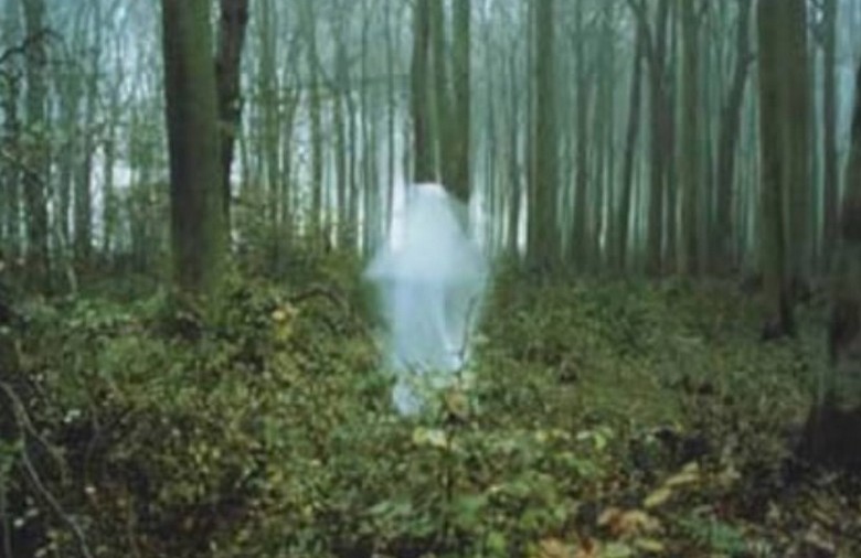 Le entità malvagie del meleto hanno quasi ucciso la ragazza