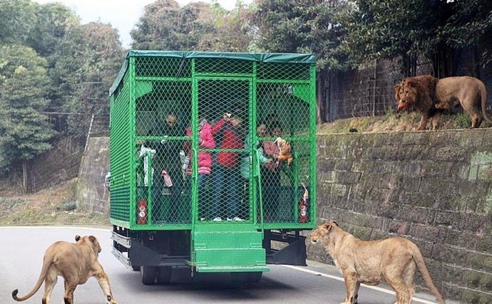 Zoo del futuro