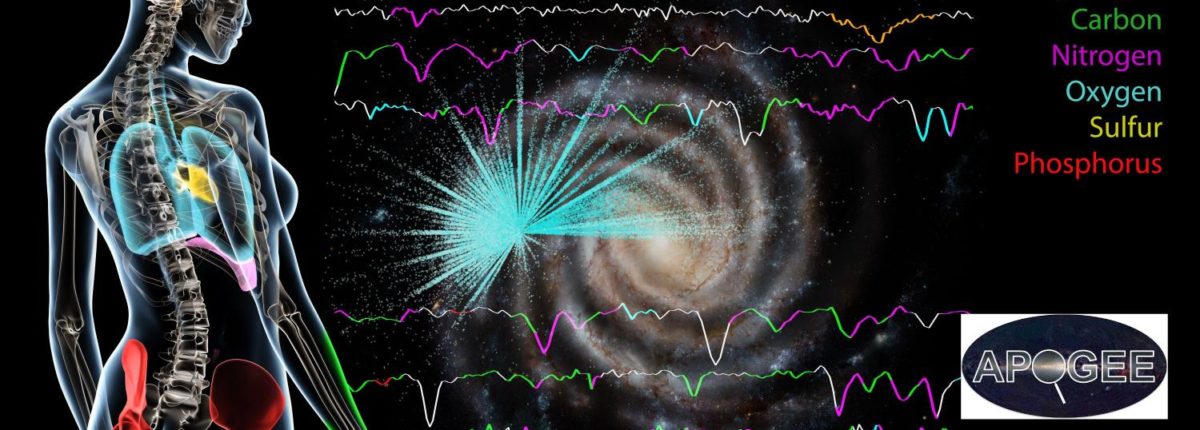 Le stelle della Via Lattea sono composte dagli stessi elementi degli umani 